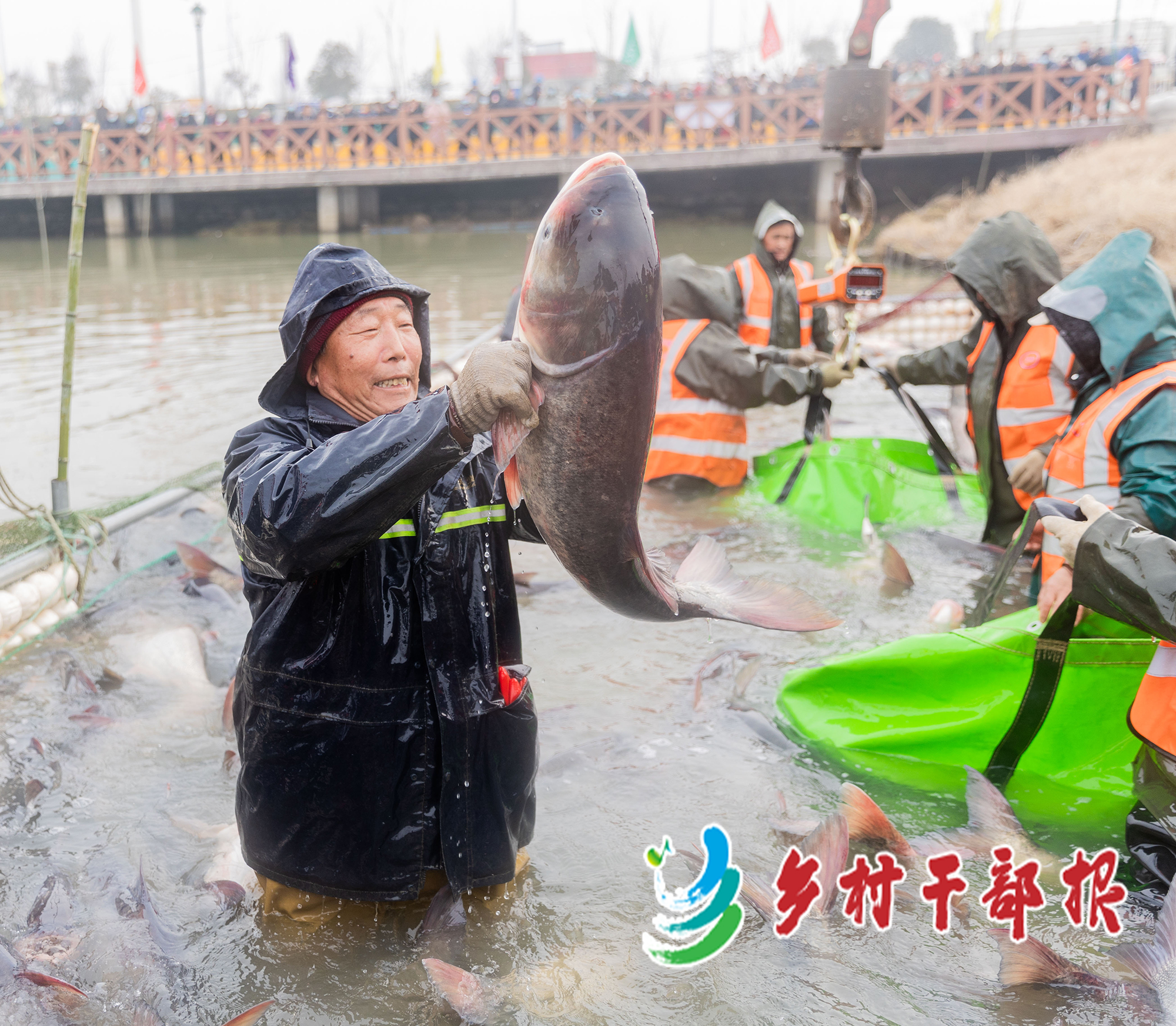 许镇镇“富美湖乡 奎鳙贺春”捕捞活动现场。2.jpg