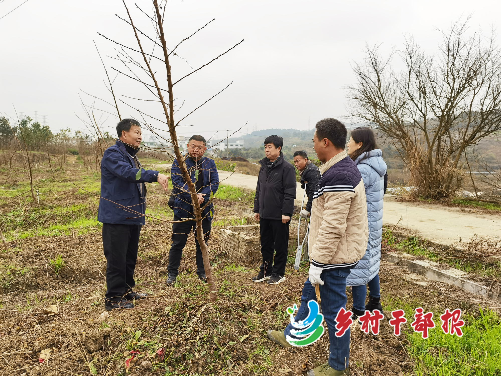 王思源（左二）和新任村干部听专家讲解黄桃种植要领。2.jpg