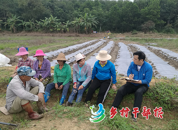 曹文超（右一）在田间和村民交流3.jpg