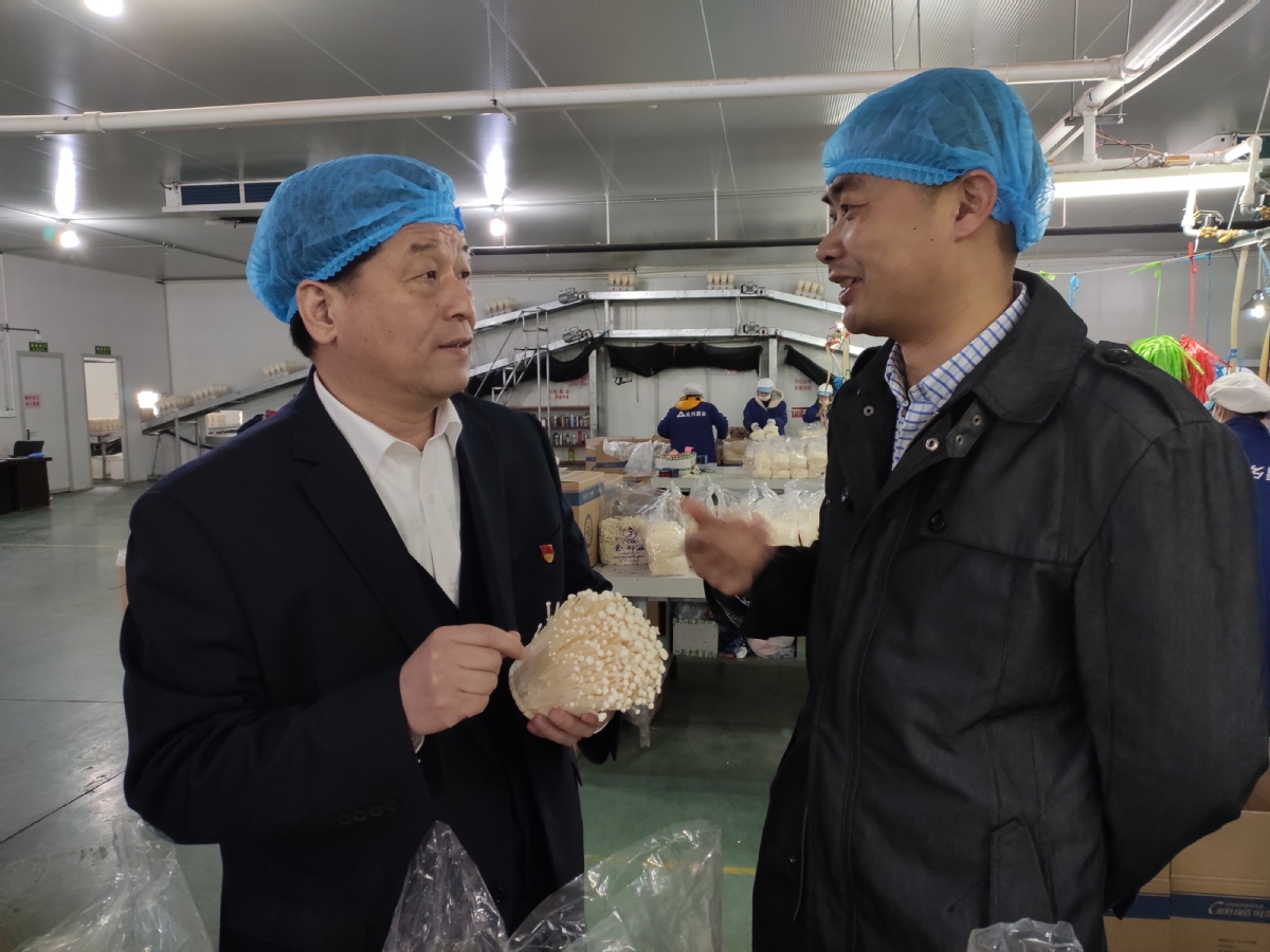 赵化录（左）了解金针菇生产情况。（冀屯镇党建办供图）.jpg