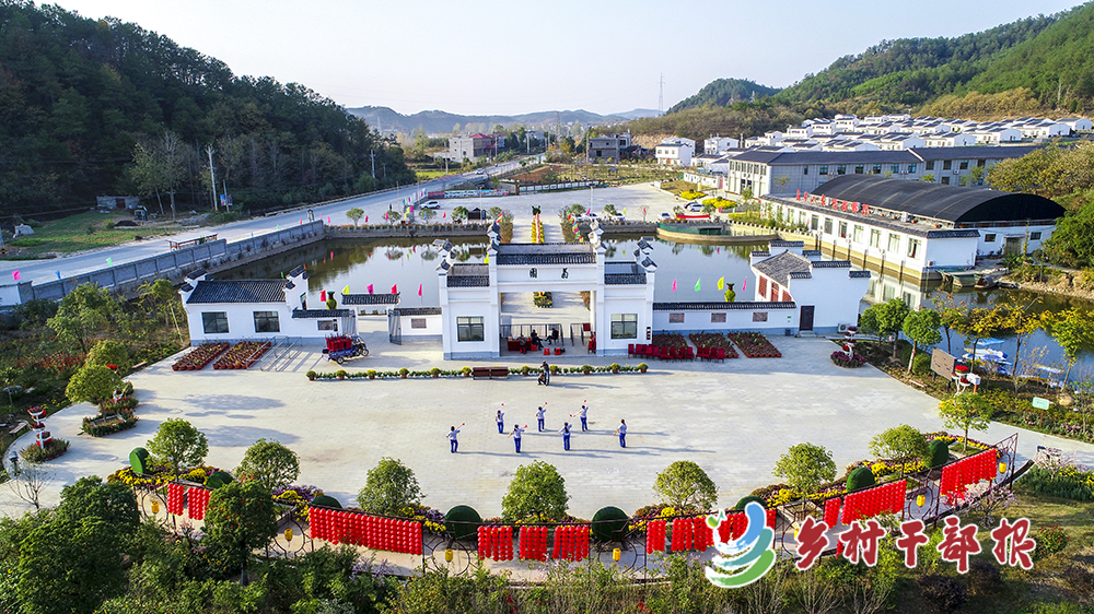 黄土岗镇菊花产业园。吕双供图2.jpg