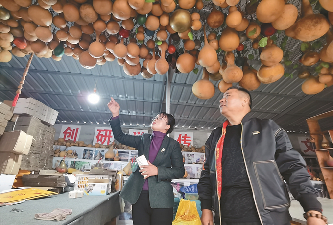 陈丽（左）引进能人创办葫芦基地。 周妍 摄.jpg