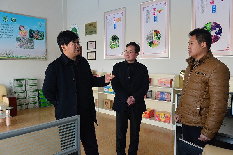 宿迁市泗阳县张大江到部分乡镇调研推进大学生村官创业扶贫工作