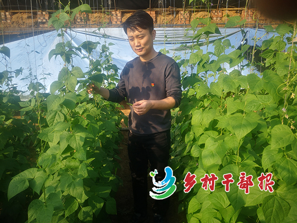 刘浩在温室大棚查看农作物生长情况2.jpg