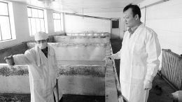 图为孙辉右和酿醋师傅现场商讨生产问题。