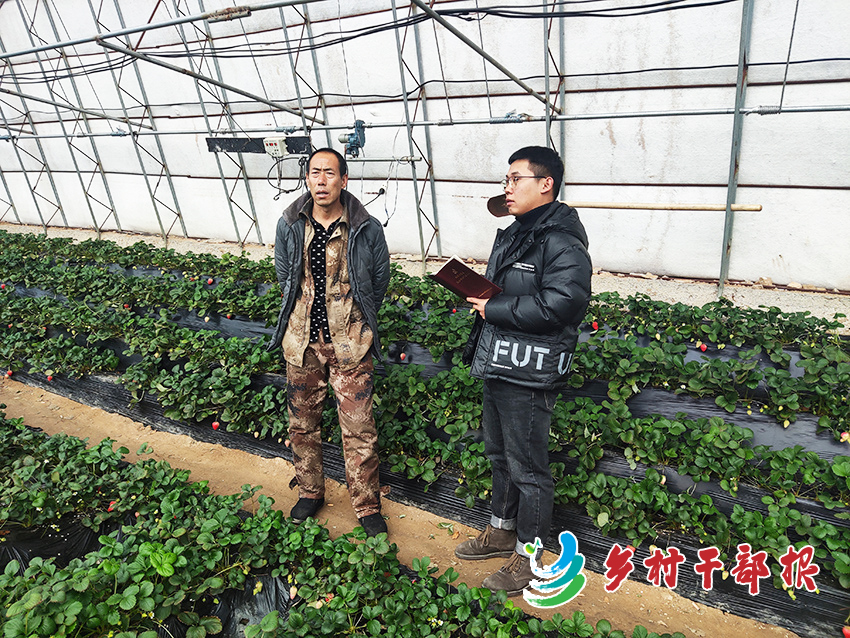 隋阳宏（右）调研草莓产业发展情况。2.jpg