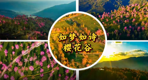 QQ20250224-155425.png