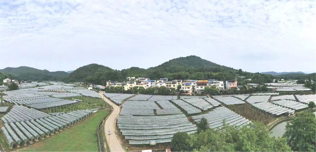 微信图片_20220310164537.jpg