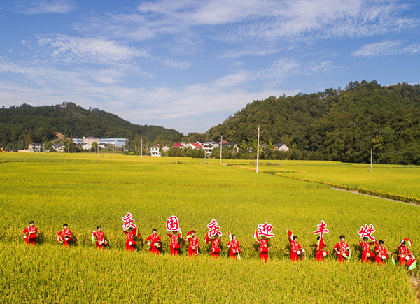 浙江省杭州市临安区太阳镇的村民在生态稻田表演腰鼓。新华社2.jpg