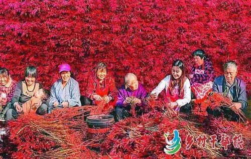 微信图片_20201231141426.jpg
