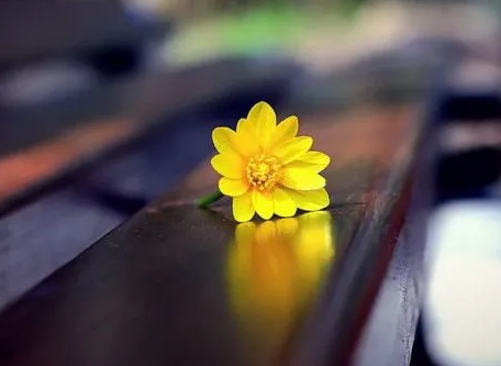 QQ图片20240520103847.png