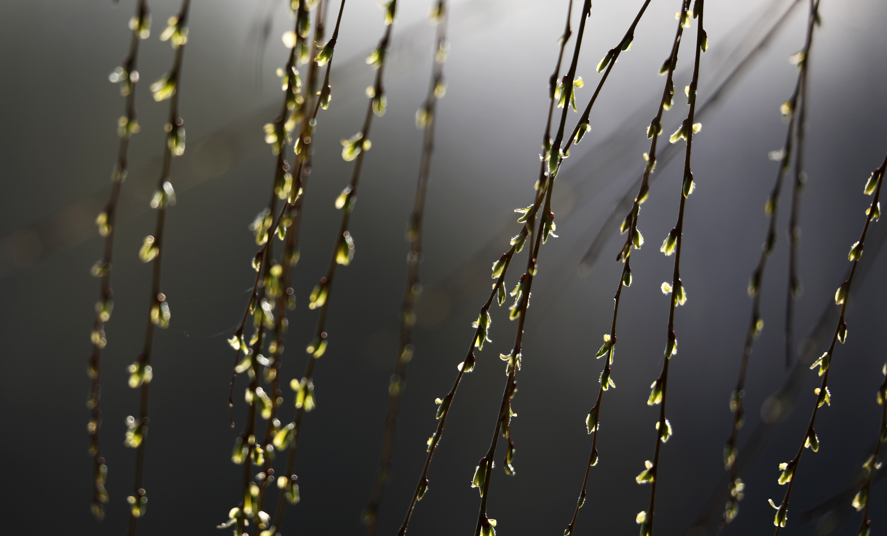 6d6518a6d173439682bf0f0eaadd56f2.jpg