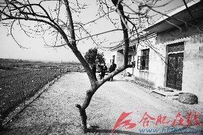 周长找到村民组组长，询问村内宅基地使用的具体情况