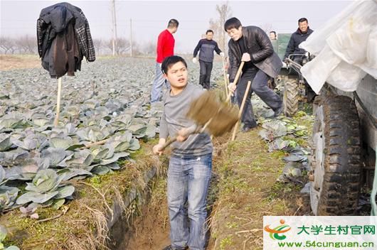 楚天金报讯 图为：杨浩和乡亲一起干农活
