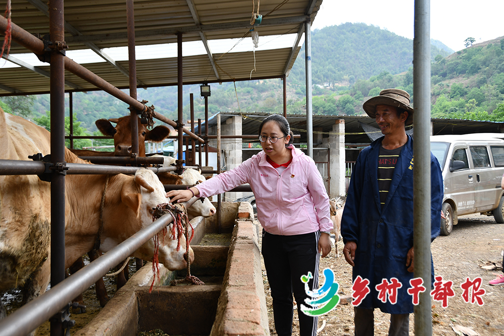 肖瑢（左）到村民徐春丽家查看肉牛养殖情况。 宣柏宇 供图2.jpg
