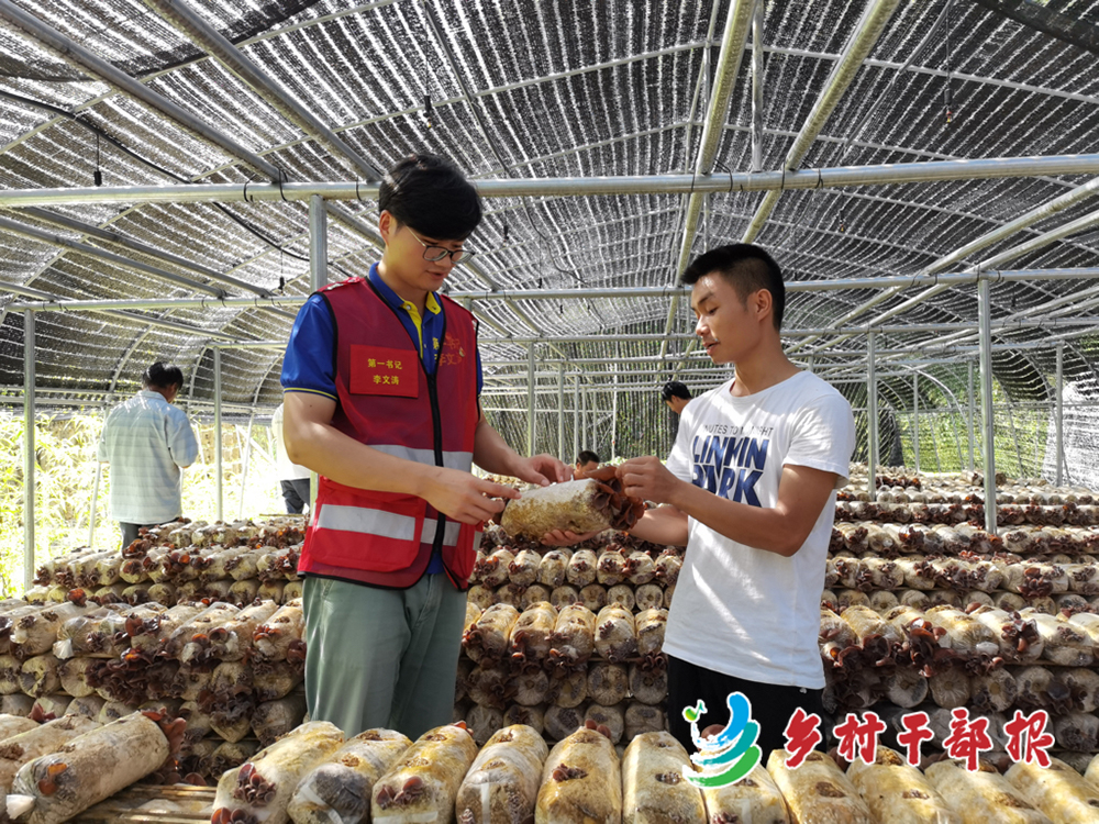 李文涛（左）调研木耳产业2.jpg