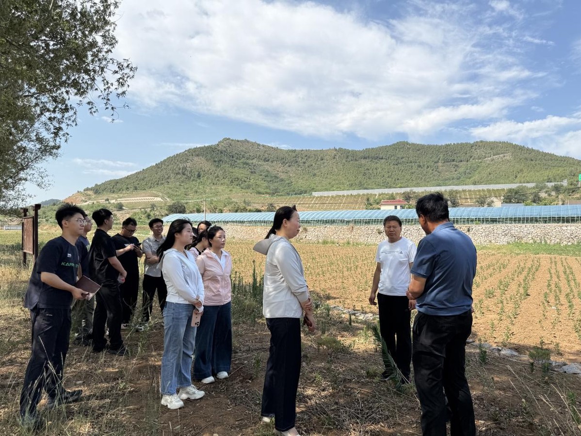 选调生在田间地头调研。（安阳市委组织部干部规划办供图）.jpg