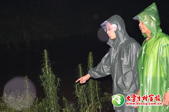downLoad-20160707151646.png