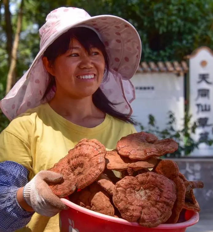 QQ截图20230919104215.png