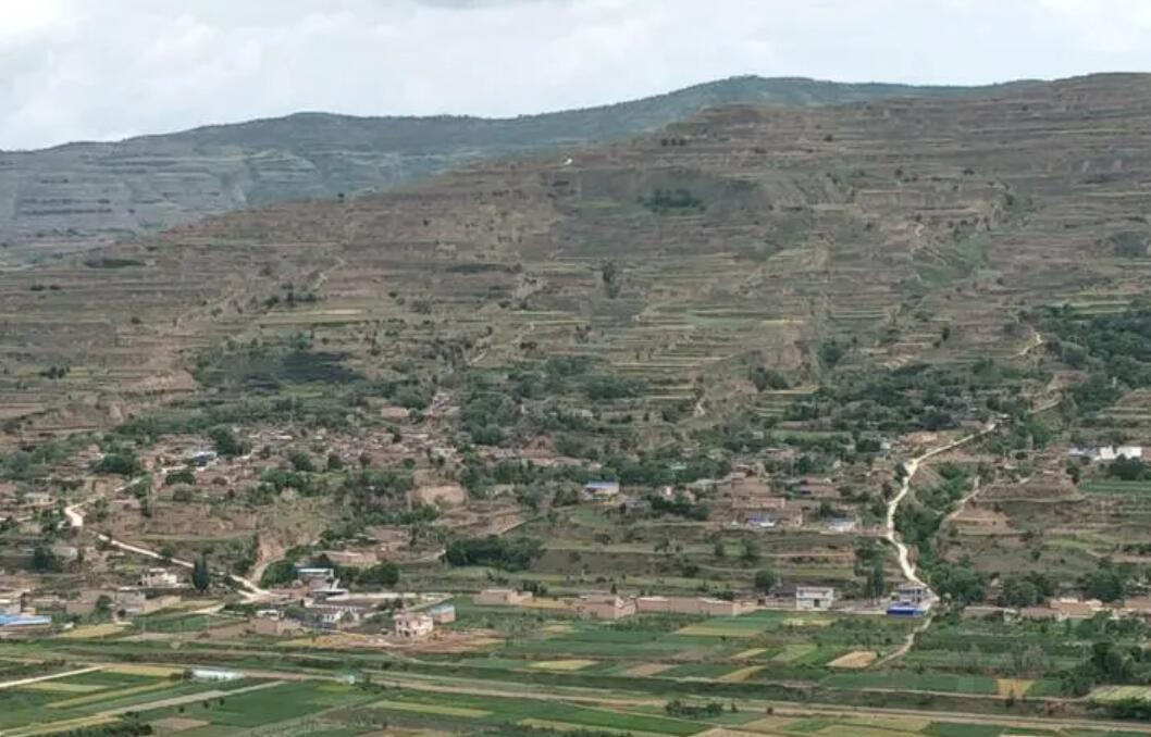 陈庄村.jpg