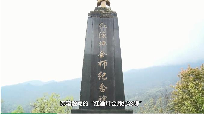979.jpg