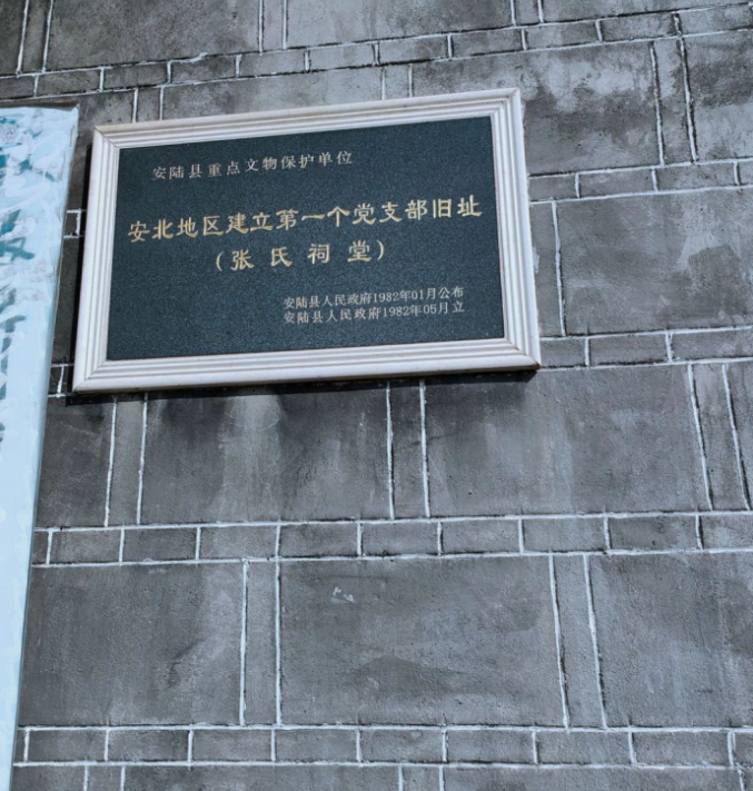 1678266117066.png