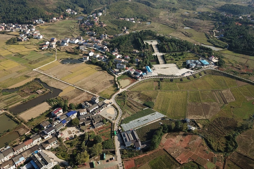 南湾村.png