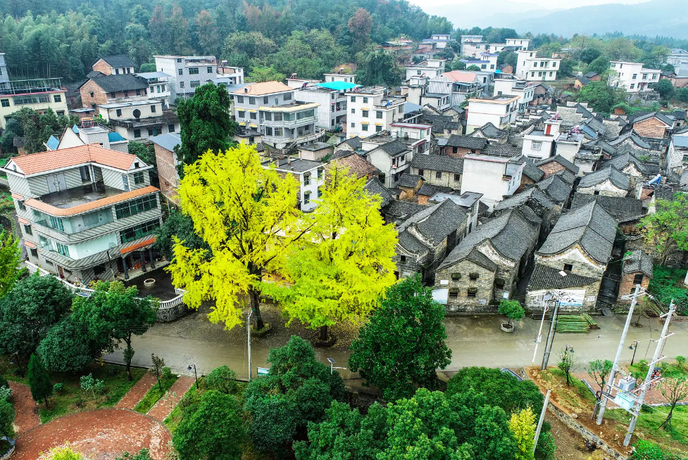 陂副村.png