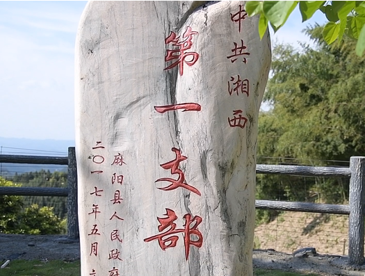 杨柳坡村.png