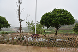 新庄村.png