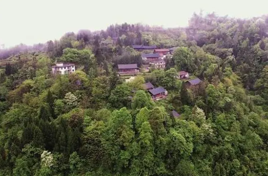 糯梯村.png