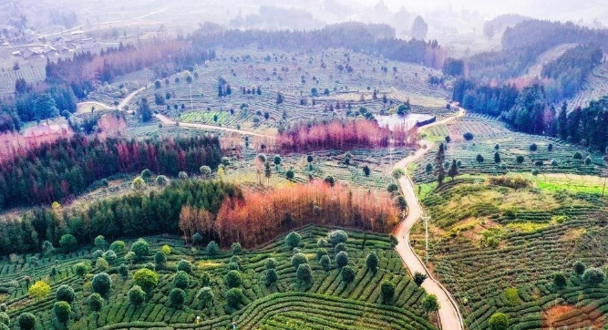 QQ截图20230918150353.png