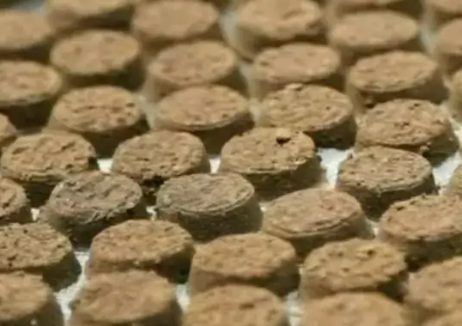 永定万应茶.png