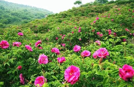 3涧沟村.jpg